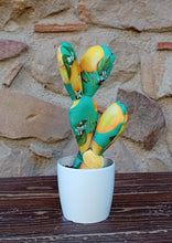 Carica l'immagine nel visualizzatore di Gallery, Piante di Pezza cod 6