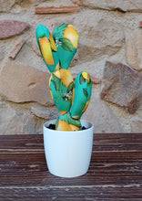 Carica l'immagine nel visualizzatore di Gallery, Piante di Pezza cod 19