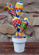 Carica l'immagine nel visualizzatore di Gallery, Piante di Pezza cod 66