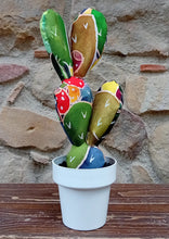 Carica l'immagine nel visualizzatore di Gallery, Piante di Pezza cod 70