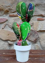 Carica l'immagine nel visualizzatore di Gallery, Piante di Pezza cod 70