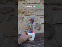 Carica e avvia il video nel visualizzatore di galleria, Piante di Pezza cod 2