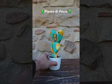 Carica e avvia il video nel visualizzatore di galleria, Piante di Pezza cod 3