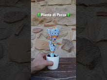 Carica e avvia il video nel visualizzatore di galleria, Piante di Pezza cod 18