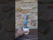 Carica e avvia il video nel visualizzatore di galleria, Piante di Pezza cod 13