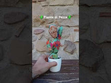 Carica e avvia il video nel visualizzatore di galleria, Piante di Pezza cod 11