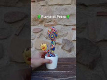 Carica e avvia il video nel visualizzatore di galleria, Piante di Pezza cod 16