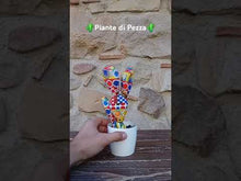 Carica e avvia il video nel visualizzatore di galleria, Piante di Pezza cod 9