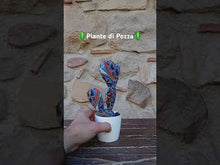 Carica e avvia il video nel visualizzatore di galleria, Piante di Pezza cod 15