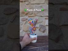 Carica e avvia il video nel visualizzatore di galleria, Piante di Pezza cod 1