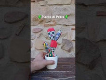 Carica e avvia il video nel visualizzatore di galleria, Piante di Pezza cod 20