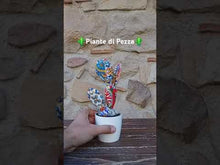 Carica e avvia il video nel visualizzatore di galleria, Piante di Pezza cod 14