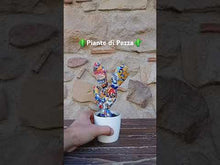 Carica e avvia il video nel visualizzatore di galleria, Piante di Pezza cod 21