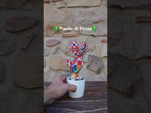 Carica e avvia il video nel visualizzatore di galleria, Piante di Pezza cod 17