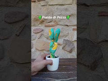 Carica e avvia il video nel visualizzatore di galleria, Piante di Pezza cod 19