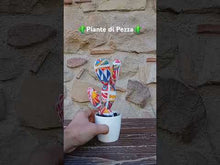 Carica e avvia il video nel visualizzatore di galleria, Piante di Pezza cod 10