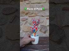 Carica e avvia il video nel visualizzatore di galleria, Piante di Pezza cod 12