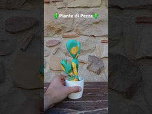 Carica e avvia il video nel visualizzatore di galleria, Piante di Pezza cod 6