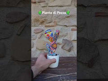 Carica e avvia il video nel visualizzatore di galleria, Piante di Pezza cod 5