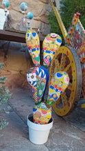 Carica e avvia il video nel visualizzatore di galleria, Piante di Pezza Media cod 177
