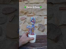 Carica e avvia il video nel visualizzatore di galleria, Piante di Pezza cod 7
