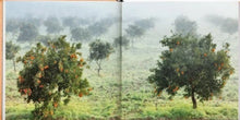 Carica l&#39;immagine nel visualizzatore di Gallery, L&#39;Arancia Siciliana
